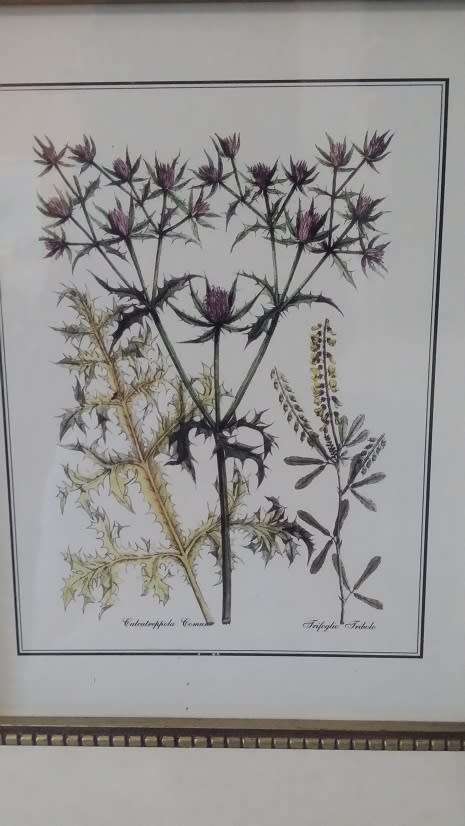 BEAUTIFUL  FRAMED PRINT BEHIND GLASS