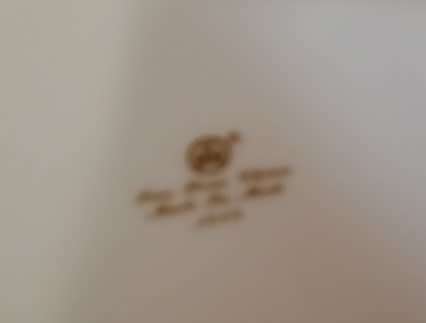 TM FINE BONE AND CHINA MEITE BLUE AND WHITE BOWL