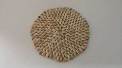 SEA SHELL PLACE MAT