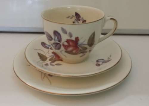 ALFRED MEAKIN  ENGLAND  TRIO CUP,  SAUCER , SIDE PLATE