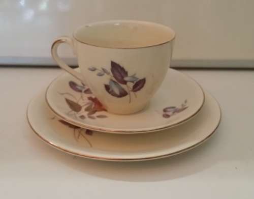ALFRED MEAKIN  ENGLAND  TRIO CUP,  SAUCER , SIDE PLATE