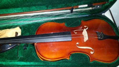 VIOLIN NOT BRANDED needs a new string and rod string 59 cm x 20 cm