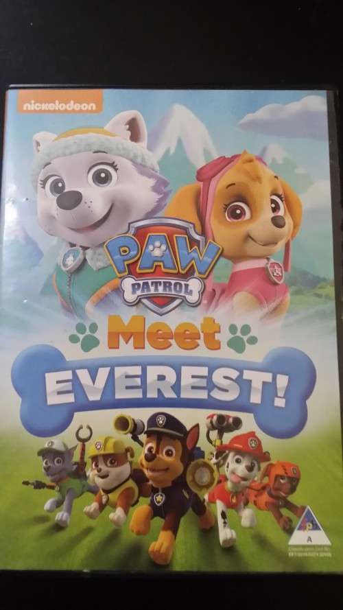 DVD  - paw patrol