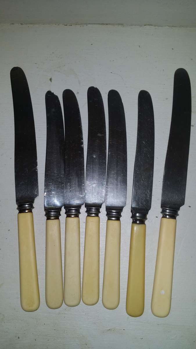 Bone Handel set of Knives
