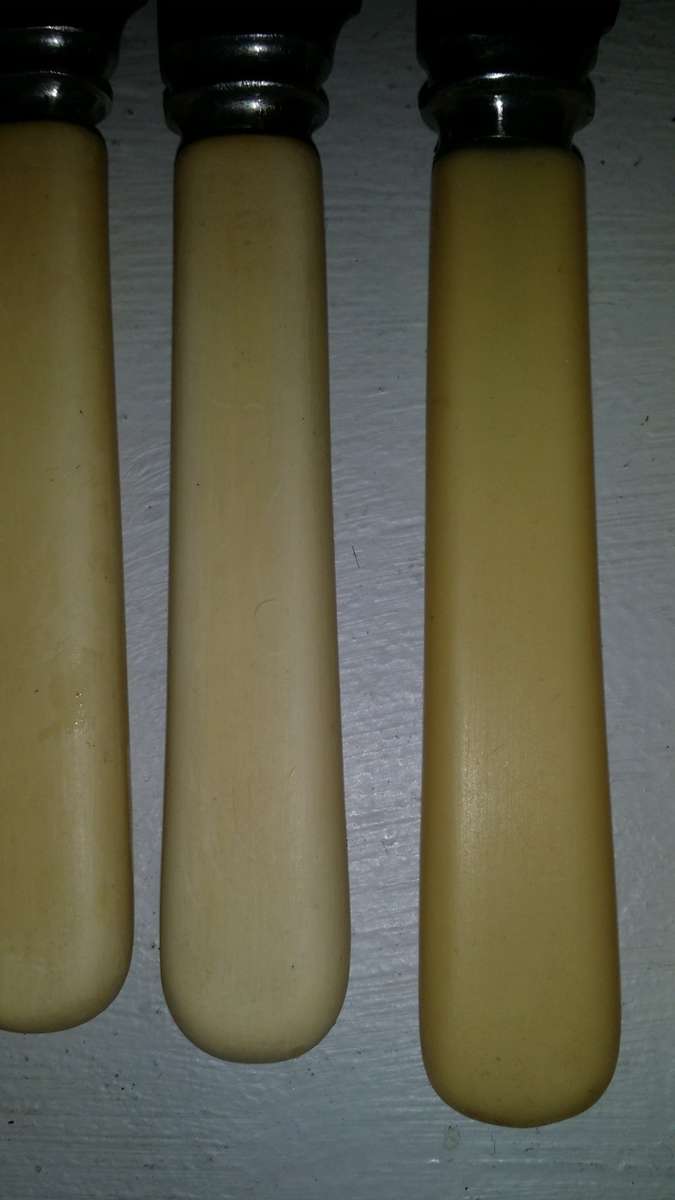 Bone Handel set of Knives
