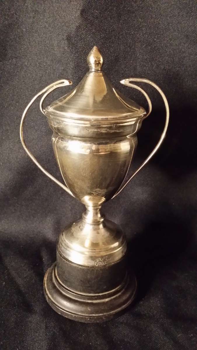 EPNS Trophy Cup  15 cm