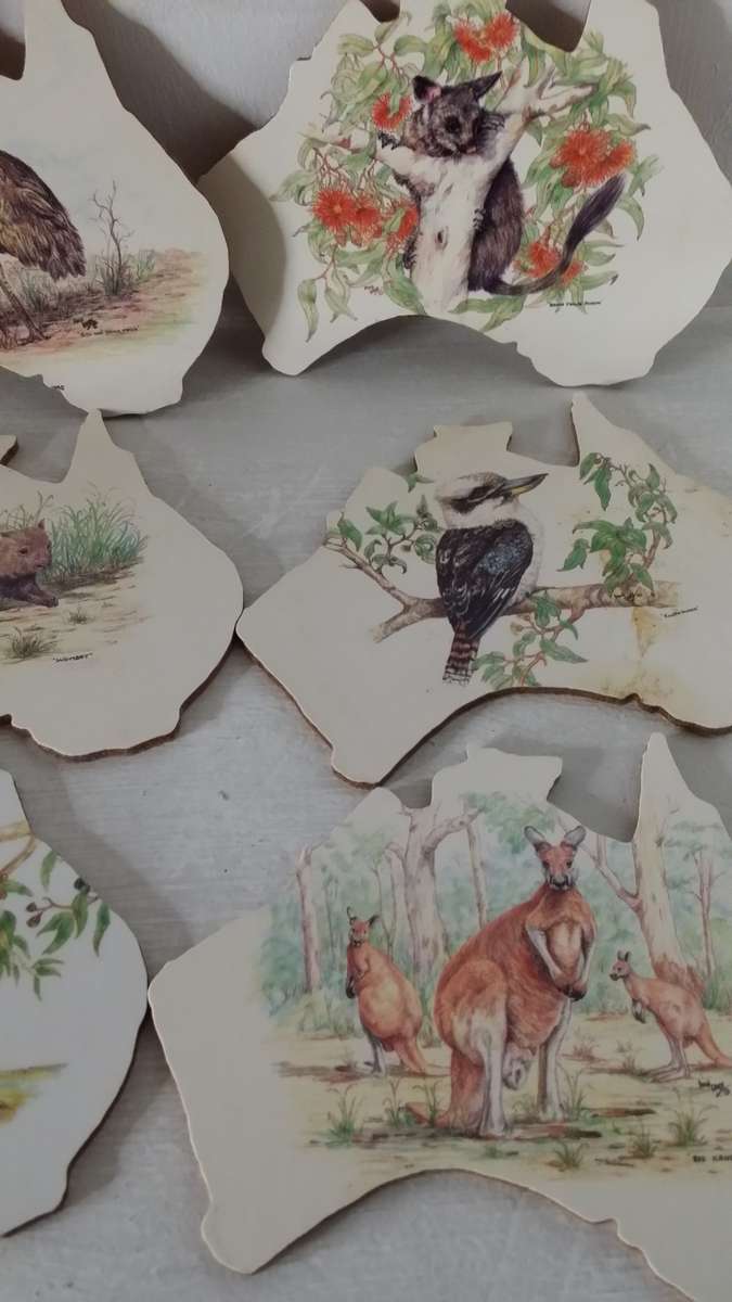 Set of six Australia Wildlife Creations Coasters