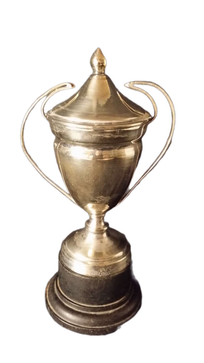 EPNS Trophy Cup  15 cm