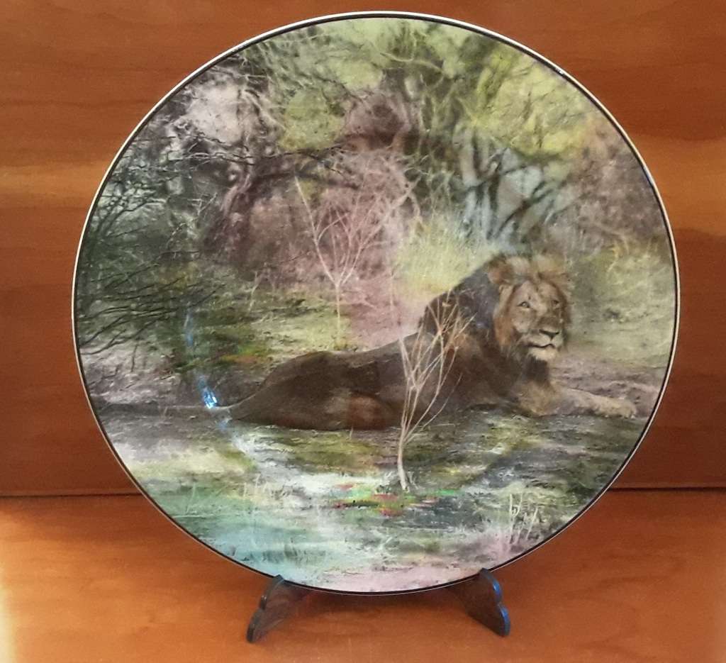 Royal Doulton African Series Lion Display Plate 26 cm