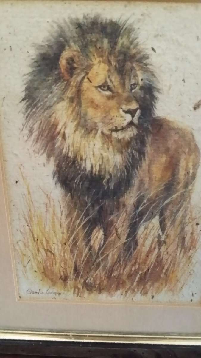 Sheila Cooper Lion Picture 20 x 17 cm