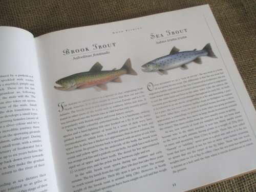 Fishing Flies...A Practical Guide To The Craft Of Fly Tying By Martin Ford