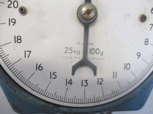 Smart Vintage Salter Model 235 25Kg x 100g Hanging Scale                Made In South Africa