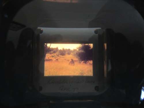 Full Vintage Carousel Slide Tray With Photo Slides Of Magnificent Sunrise/Sunset Scenes And More