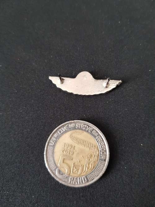 Basic ParaTrooper Wings 2 Pins