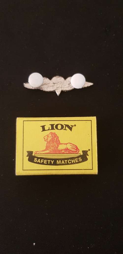 SADF Basic ParaTrooper Wings