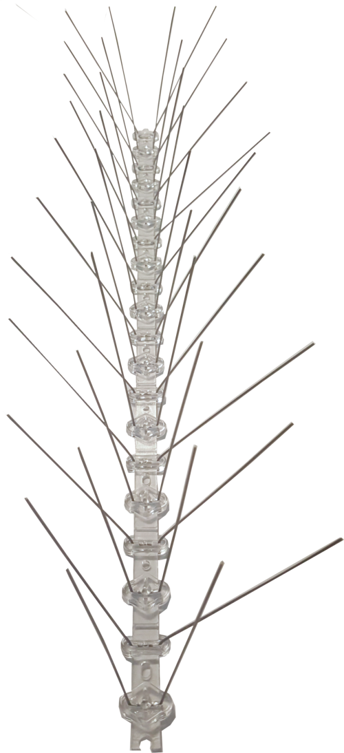 Bird Spikes - Stainless steel (10 meters)