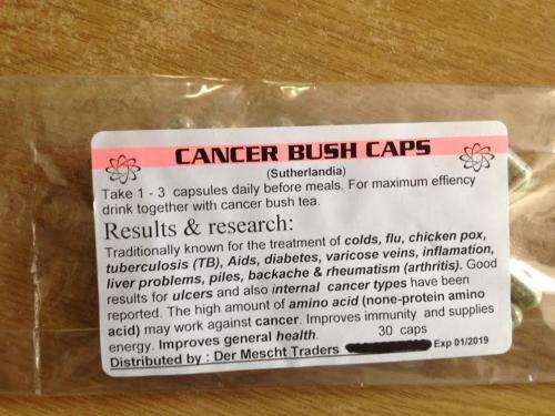 CANCER BUSH CAPS (SUTHERLANDIA)