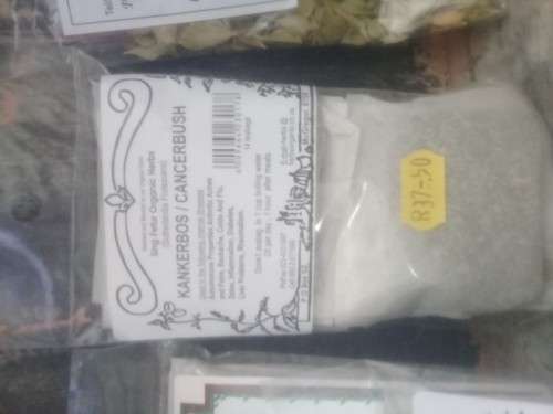 KANKERBOS/SUTHERLANDIA FRUTESCENS 14s