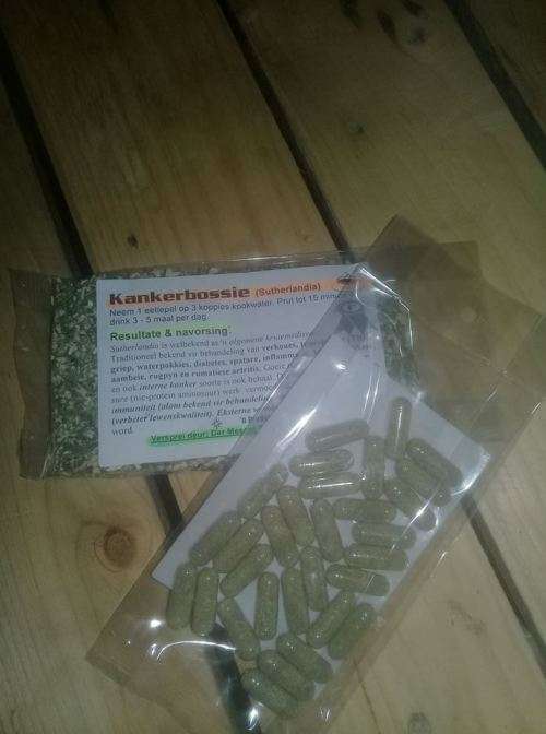 CANCERBUSH CAPSULES 30S