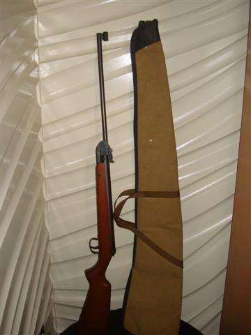 Diana Air Rifle with wooden butt and bag