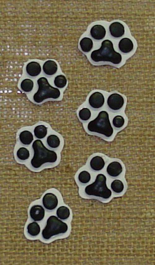 Animal paws 2