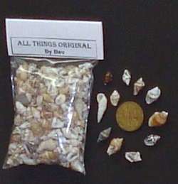 Genuine miniture sea shells
