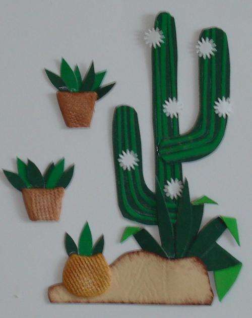 cactus plants