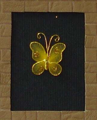 Dark yellow butterfly