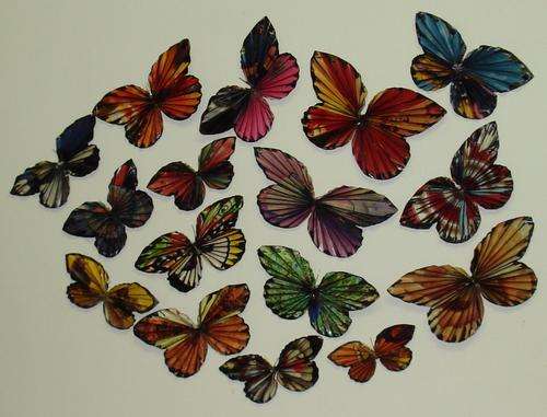 magazine butterflies
