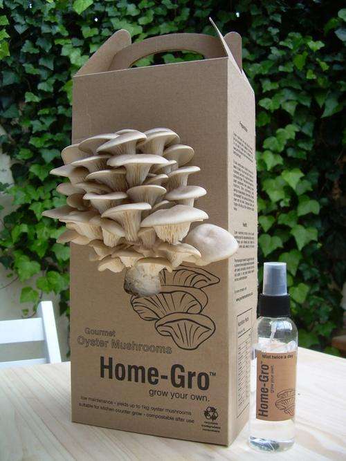 Home-Grow Grow Your Own Gourmet Mushrooms