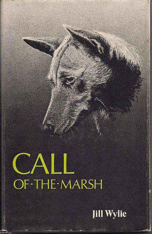 CALL-OF-THE-MARSH: LIFE WITH A BASENJI by Jill Wylie