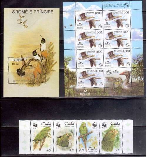 BIRDS OF THE WORLD (3 Pages) - A