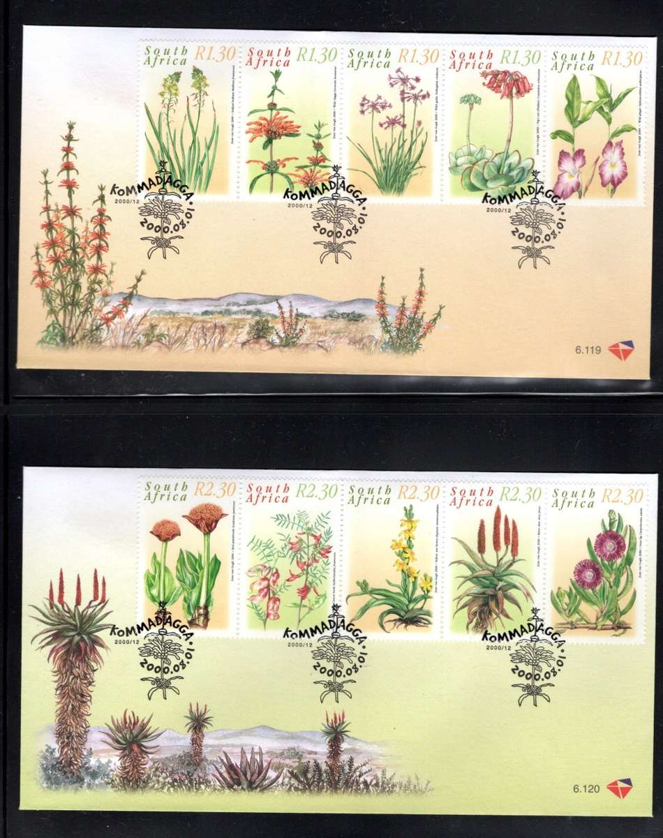 SOUTH AFRICA (Medicinal Plants)