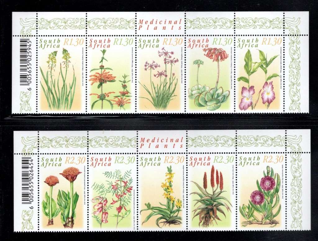 SOUTH AFRICA (Medicinal Plants)