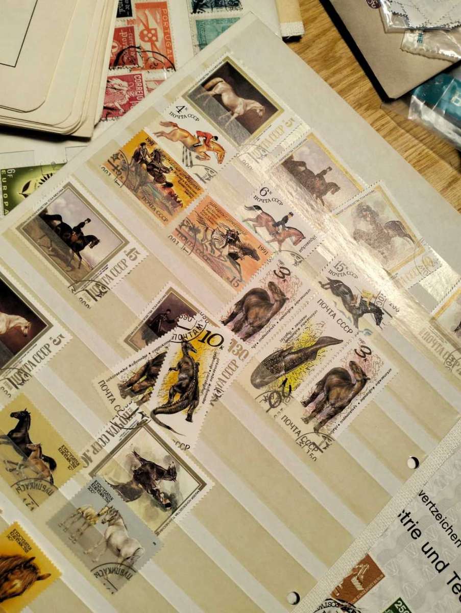 BONANZA BOX # 12 (Last box)!!!!!