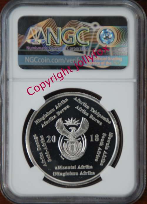 *** RARE *** 2018 SA Inventions CAT SCAN SR2 PF69UC!! *** ONLY 4 in this NGC Grade!! ***