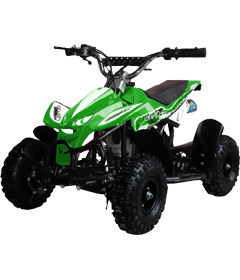 50cc 2 Stroke Air-Cooled Mini Quad