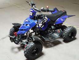 NEW 2018 50cc 2 Stroke Mini Quad Bike