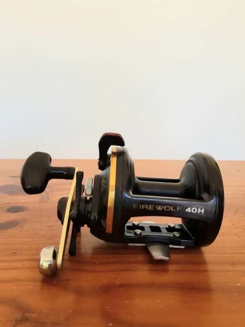 DAIWA FIREWOLF 40H Fishing Reel