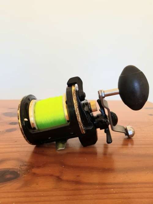 DAIWA SEALINE-X 40HV Fishing Reel