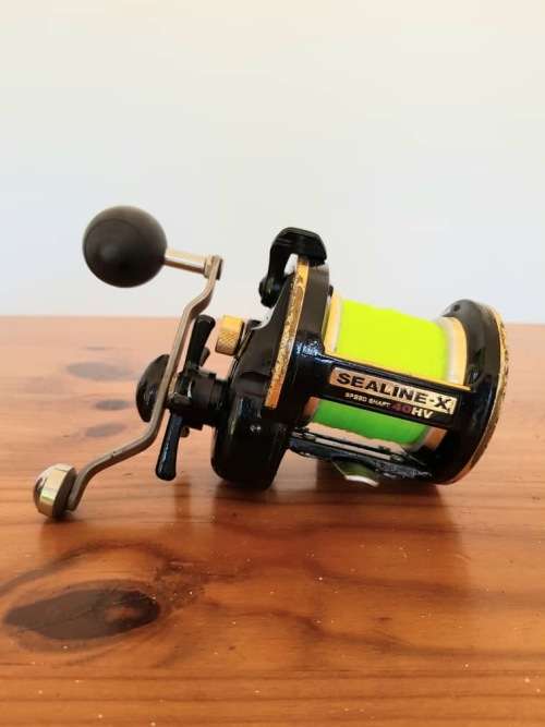 DAIWA SEALINE-X 40HV Fishing Reel