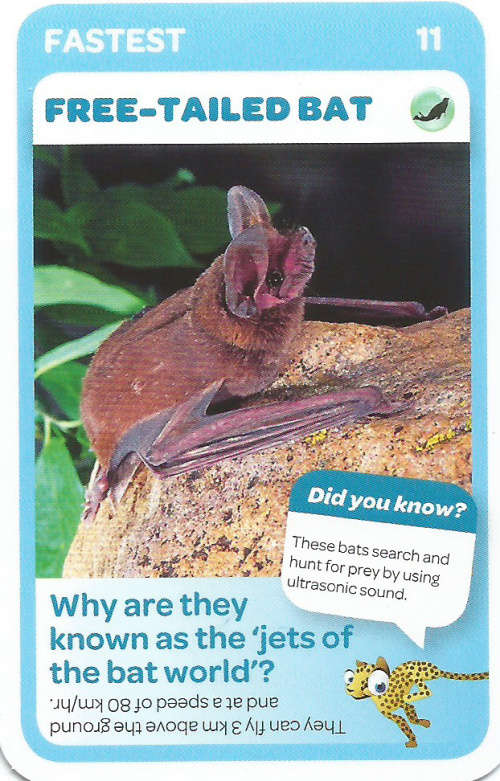 "SUPER ANIMALS" - PICK&PAY TRADING CARD COLLECTION - CARD 11