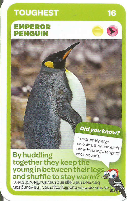 "SUPER ANIMALS" - PICK&PAY TRADING CARD COLLECTION - CARD 16