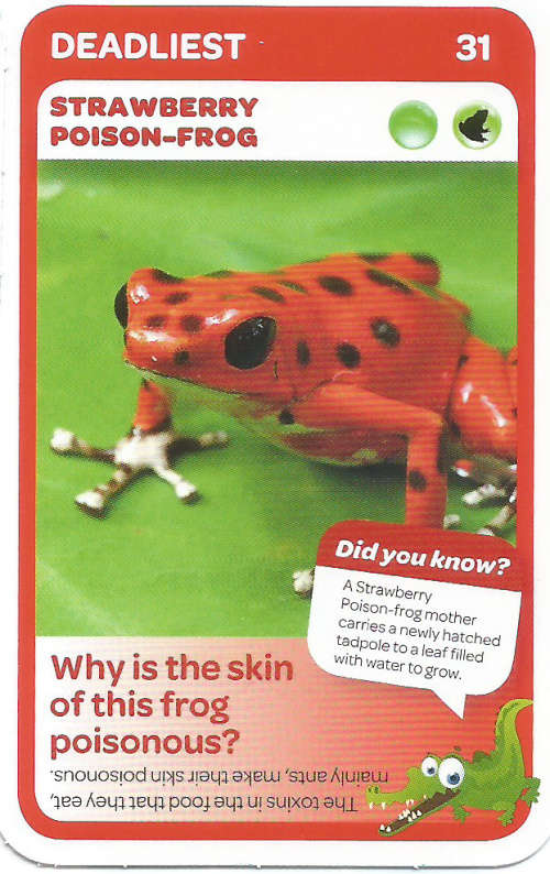 "SUPER ANIMALS" - PICK&PAY TRADING CARD COLLECTION - CARD 31