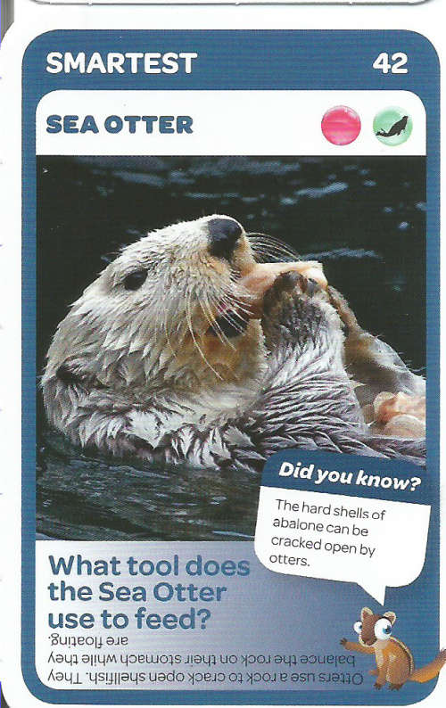 "SUPER ANIMALS" - PICK&PAY TRADING CARD COLLECTION - CARD 42