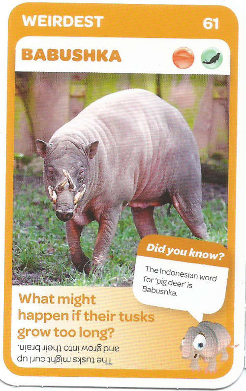 "SUPER ANIMALS" - PICK&PAY TRADING CARD COLLECTION - CARD 61