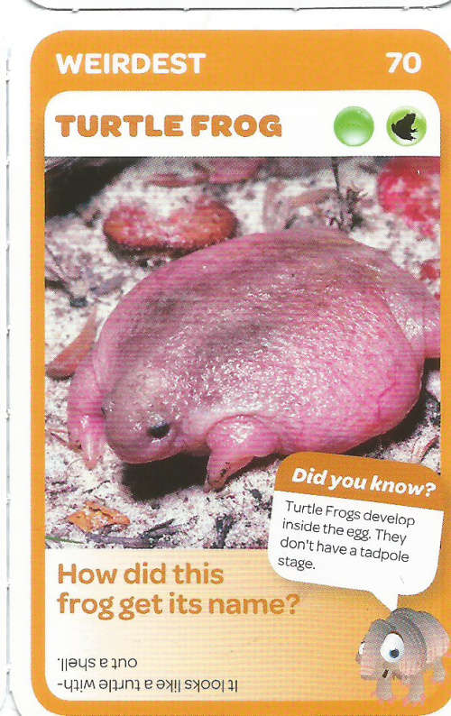 "SUPER ANIMALS" - PICK&PAY TRADING CARD COLLECTION - CARD 70