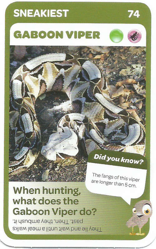 "SUPER ANIMALS" - PICK&PAY TRADING CARD COLLECTION - CARD 74