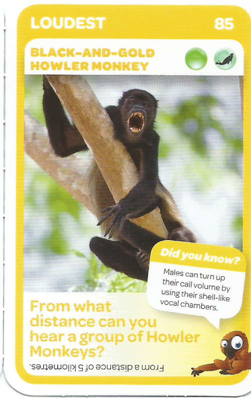 "SUPER ANIMALS" - PICK&PAY TRADING CARD COLLECTION - CARD 85