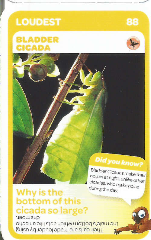 "SUPER ANIMALS" - PICK&PAY TRADING CARD COLLECTION - CARD 88